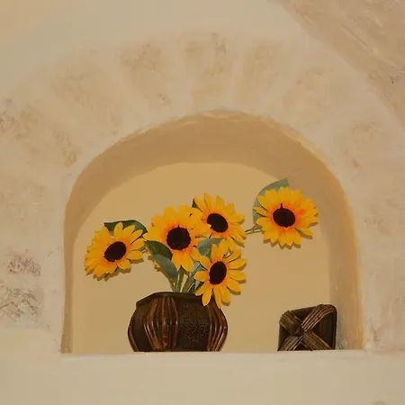 Casa Jenny *