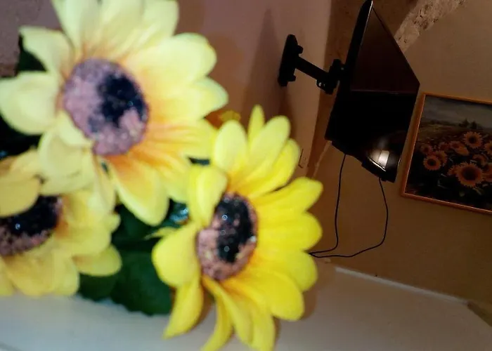 Casa Jenny アパート