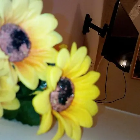 Casa Jenny Appartement