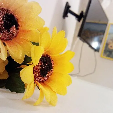 شقة Casa Jenny سيغلي ميسابيكا